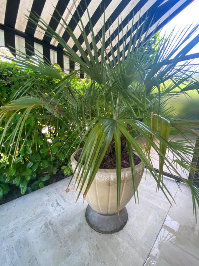Un Coin De Paradis Cannes Exterior photo